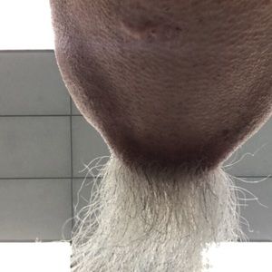 Meet your Posher, Stone